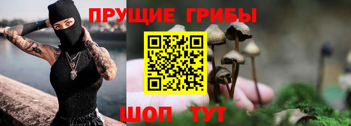 Галлюциногенные грибы Psilocybine cubensis  Вход с VPN  Тула 